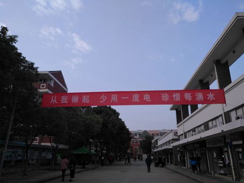 IMG_20161017_161134.jpg