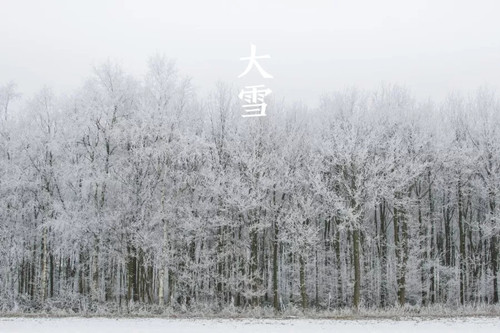 12.webp_副本.jpg